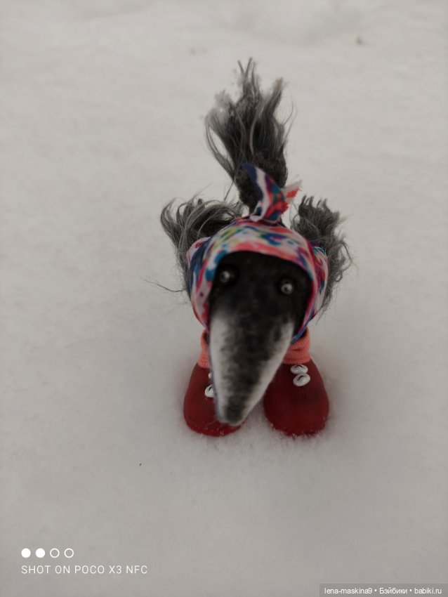 Лес, вороны Клара, Клавдия и их бабушка Евдокия