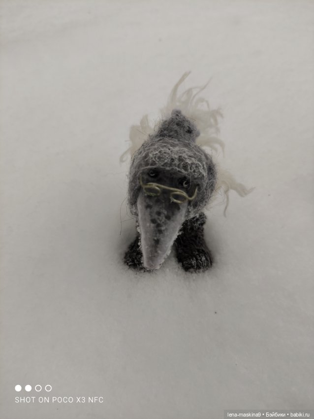 Лес, вороны Клара, Клавдия и их бабушка Евдокия (фото 7)