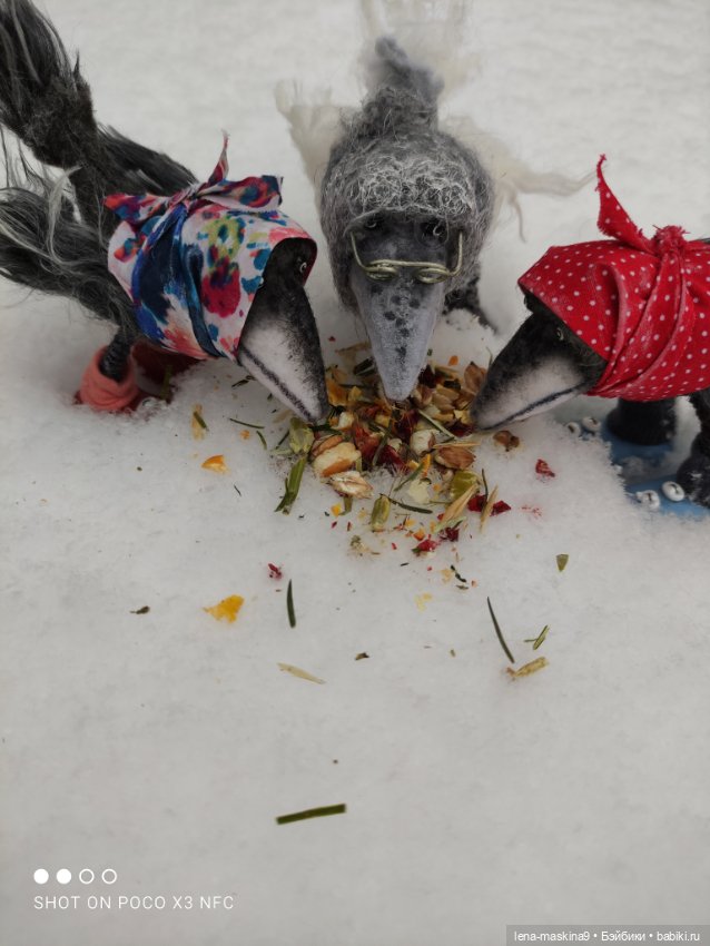 Лес, вороны Клара, Клавдия и их бабушка Евдокия