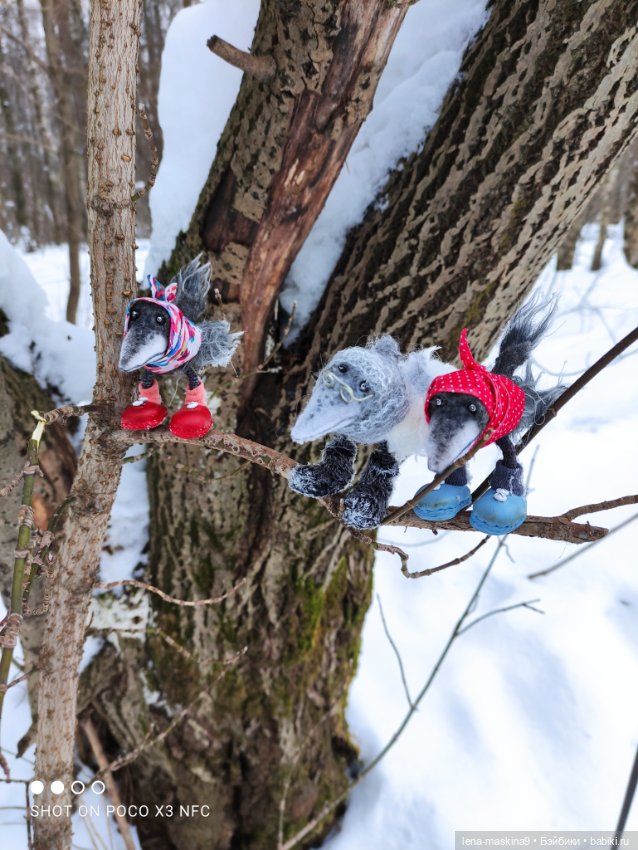 Лес, вороны Клара, Клавдия и их бабушка Евдокия
