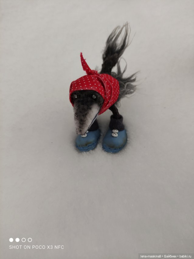 Лес, вороны Клара, Клавдия и их бабушка Евдокия (фото 8)