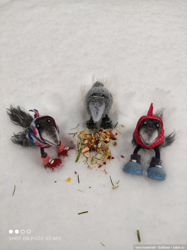 Лес, вороны Клара, Клавдия и их бабушка Евдокия