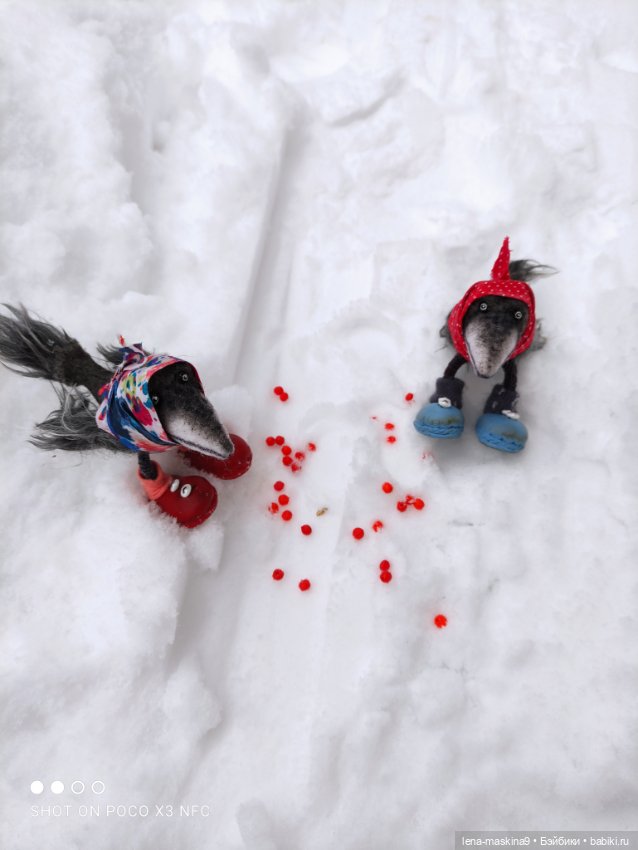 Лес, вороны Клара, Клавдия и их бабушка Евдокия