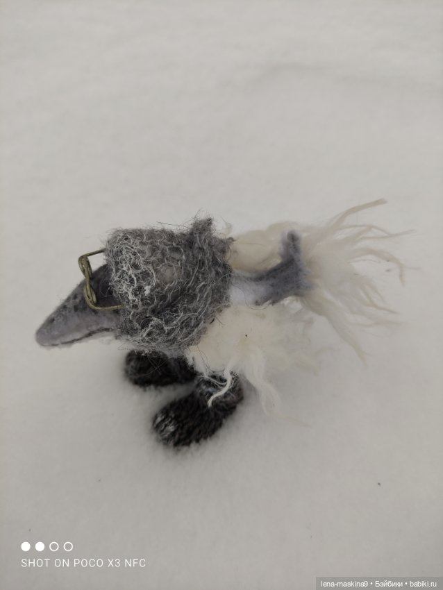 Лес, вороны Клара, Клавдия и их бабушка Евдокия (фото 10)