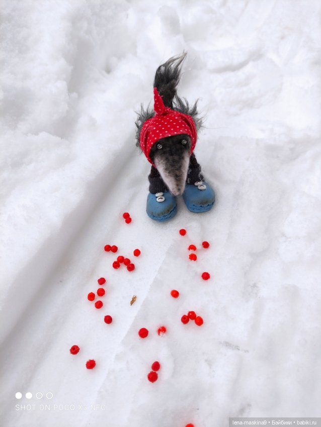 Лес, вороны Клара, Клавдия и их бабушка Евдокия