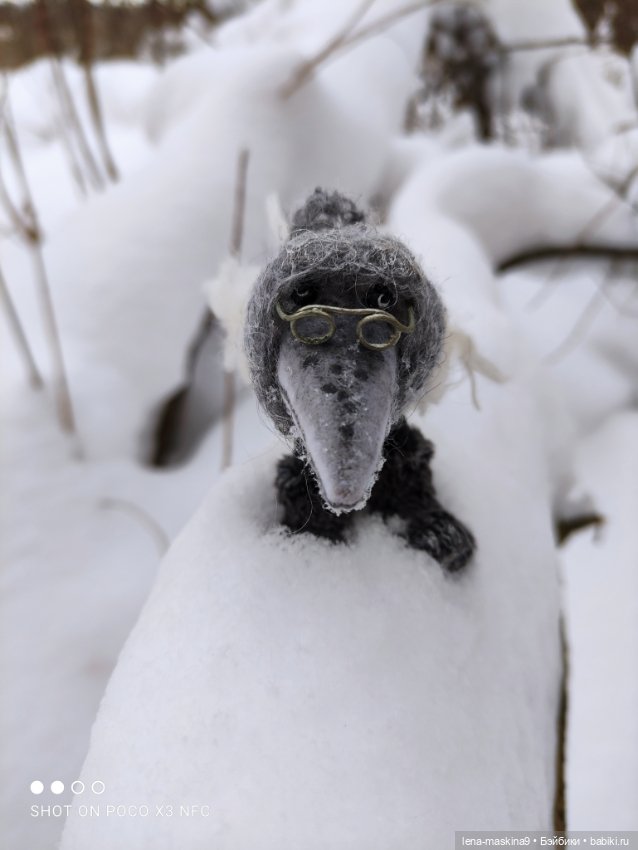 Лес, вороны Клара, Клавдия и их бабушка Евдокия