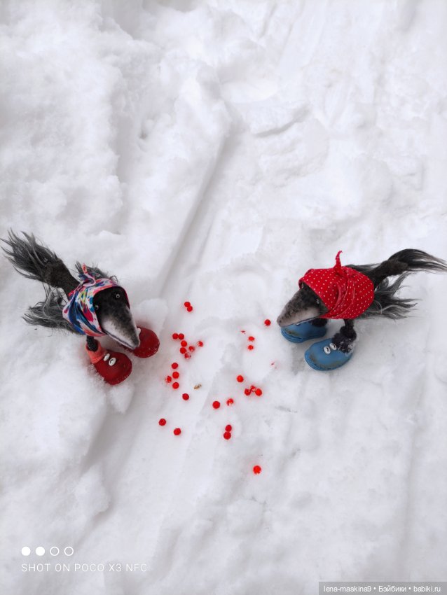 Лес, вороны Клара, Клавдия и их бабушка Евдокия