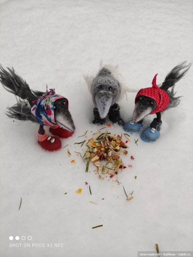 Лес, вороны Клара, Клавдия и их бабушка Евдокия