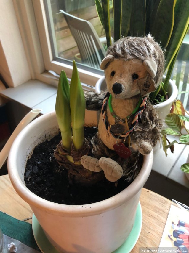 Fashion Dolls 309 — Туризм и путешествия: фотоотчеты из поездок (фото 5)