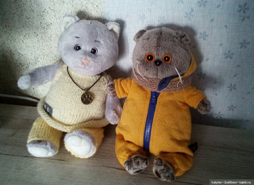 Я в братстве — Кот Басик