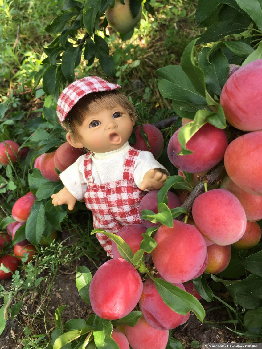 Зимняя сказка. Продолжение. День потрясений