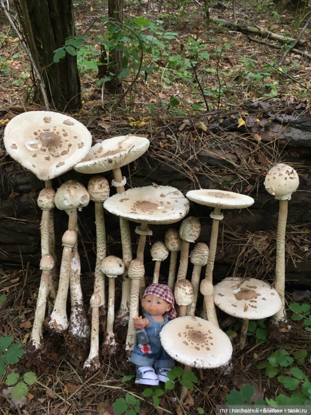 Зимняя сказка. Продолжение. День потрясений