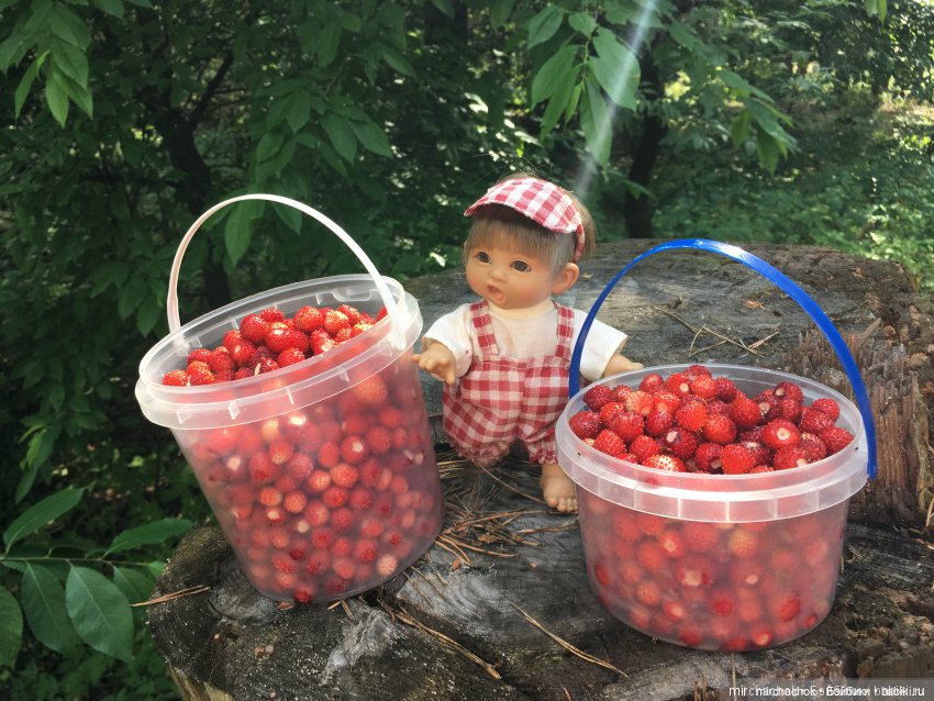 Зимняя сказка. Продолжение. День потрясений