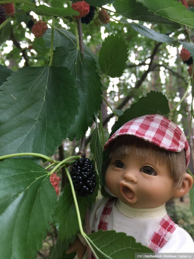 Зимняя сказка. Продолжение. День потрясений