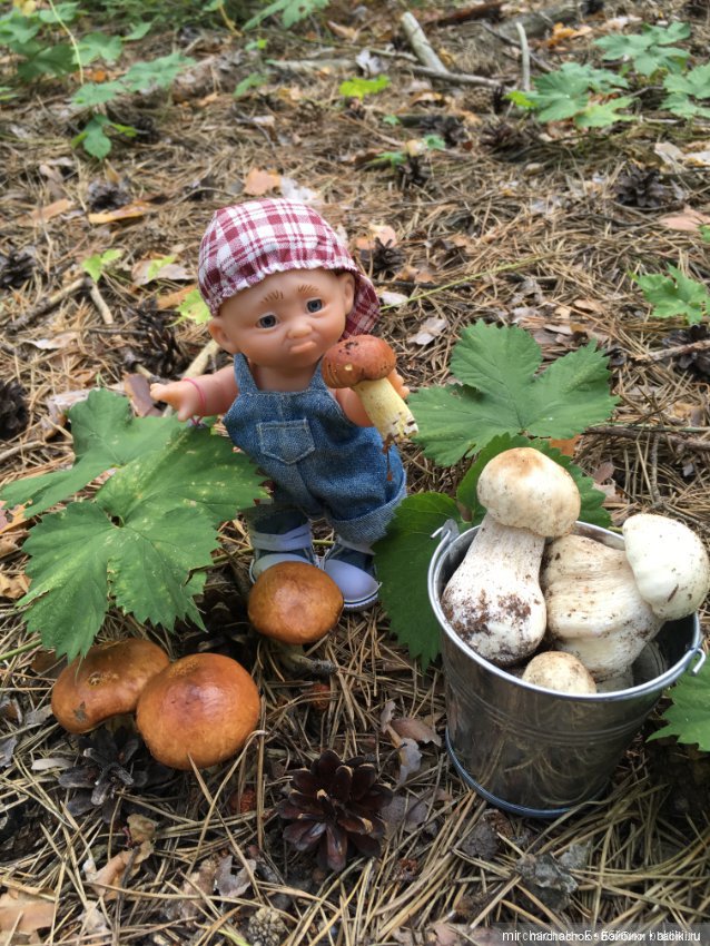 Зимняя сказка. Продолжение. День потрясений