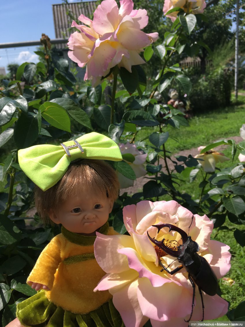 Зимняя сказка. Продолжение. День потрясений