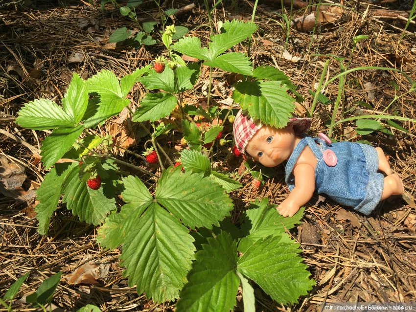 Зимняя сказка. Продолжение. День потрясений