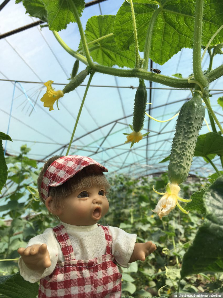 Зимняя сказка. Продолжение. День потрясений