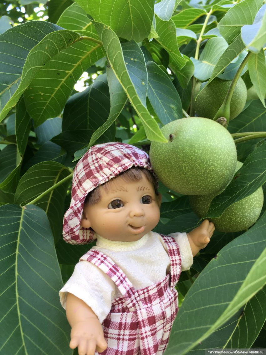 Зимняя сказка. Продолжение. День потрясений