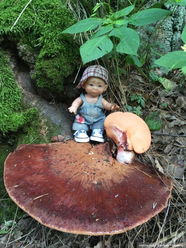 Зимняя сказка. Продолжение. День потрясений