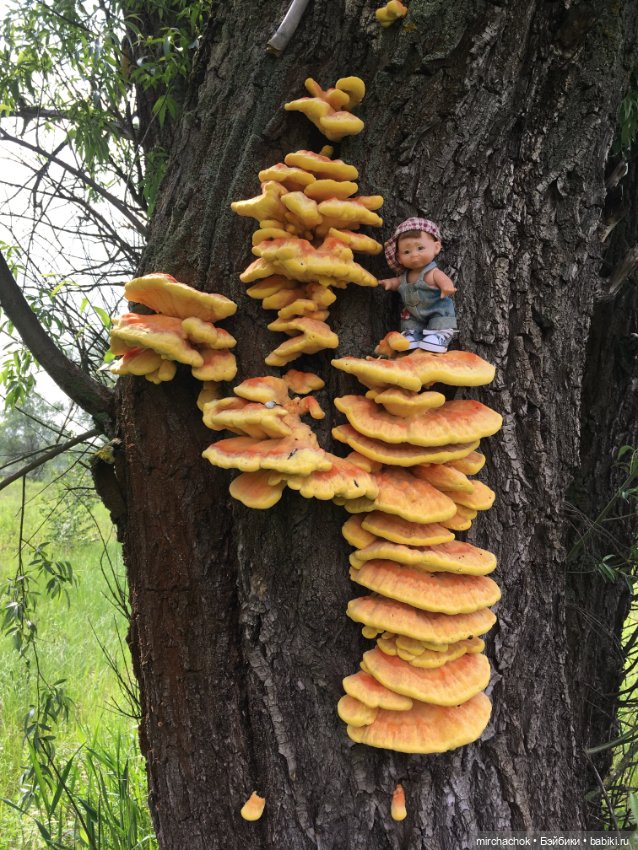 Зимняя сказка. Продолжение. День потрясений