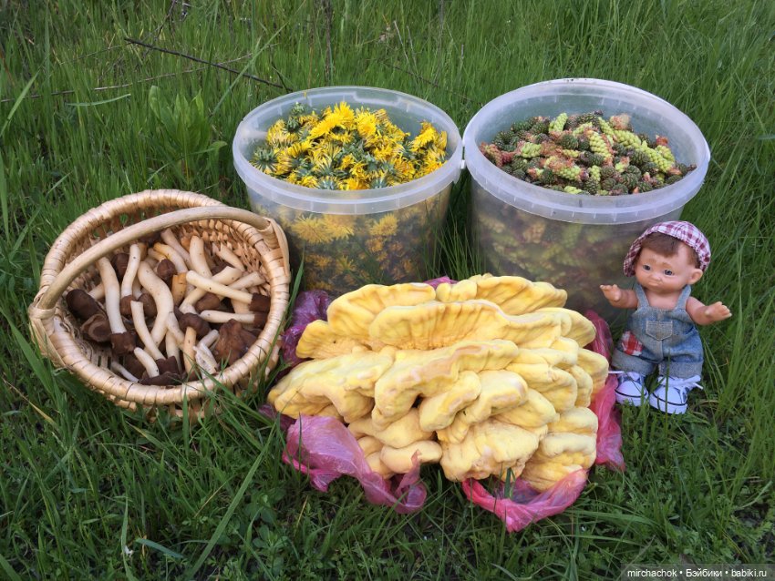 Зимняя сказка. Продолжение. День потрясений