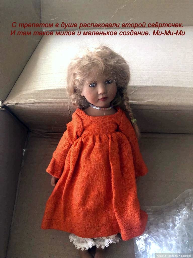 К нам приехала миниатюрная и редкая девочка Zwergnaze (фото 2)