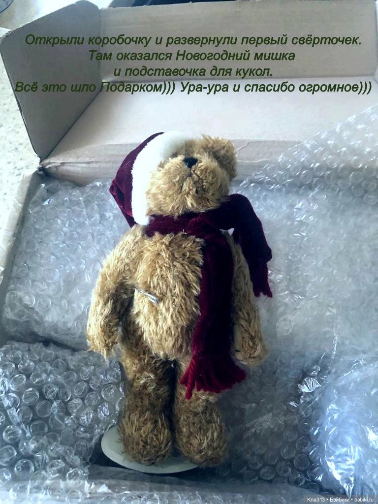 К нам приехала миниатюрная и редкая девочка Zwergnaze