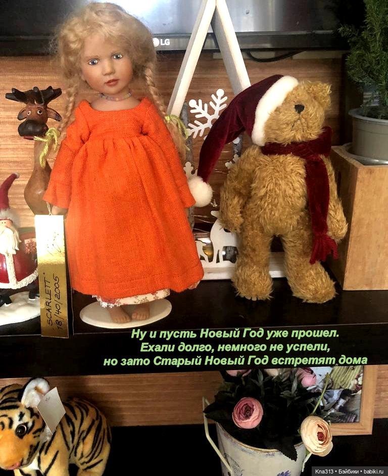 К нам приехала миниатюрная и редкая девочка Zwergnaze