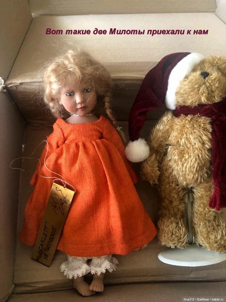 К нам приехала миниатюрная и редкая девочка Zwergnaze (фото 5)