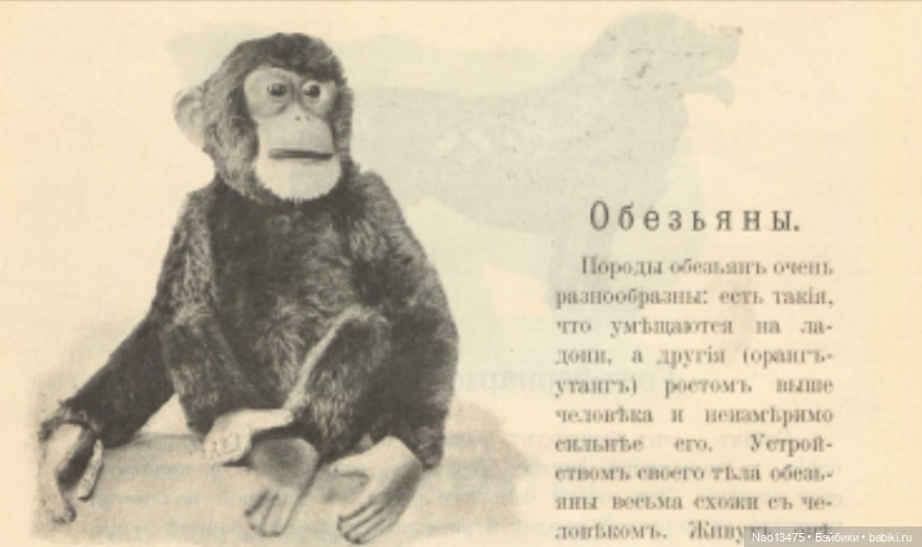 Книга 1912 г, выдержки из книги с фотографиями кукол и не только (фото 5)