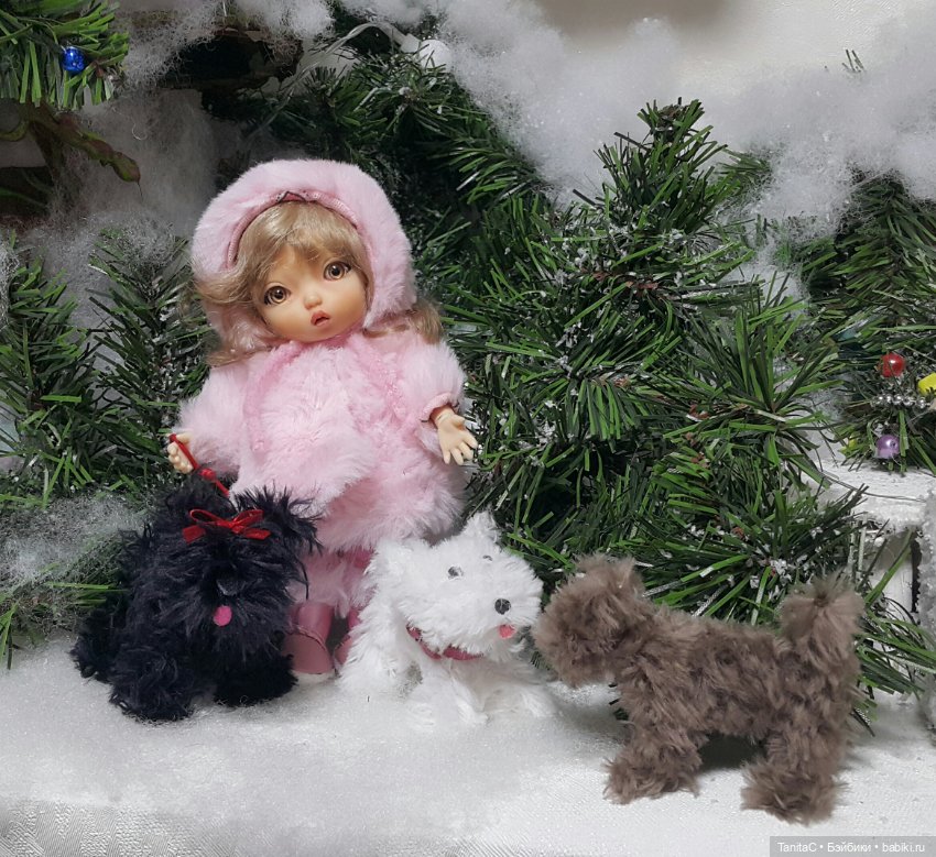 Собачек много не бывает. Клякса, Снежок и Дружок (фото 7)