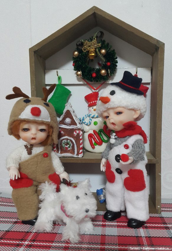 Собачек много не бывает. Клякса, Снежок и Дружок (фото 9)