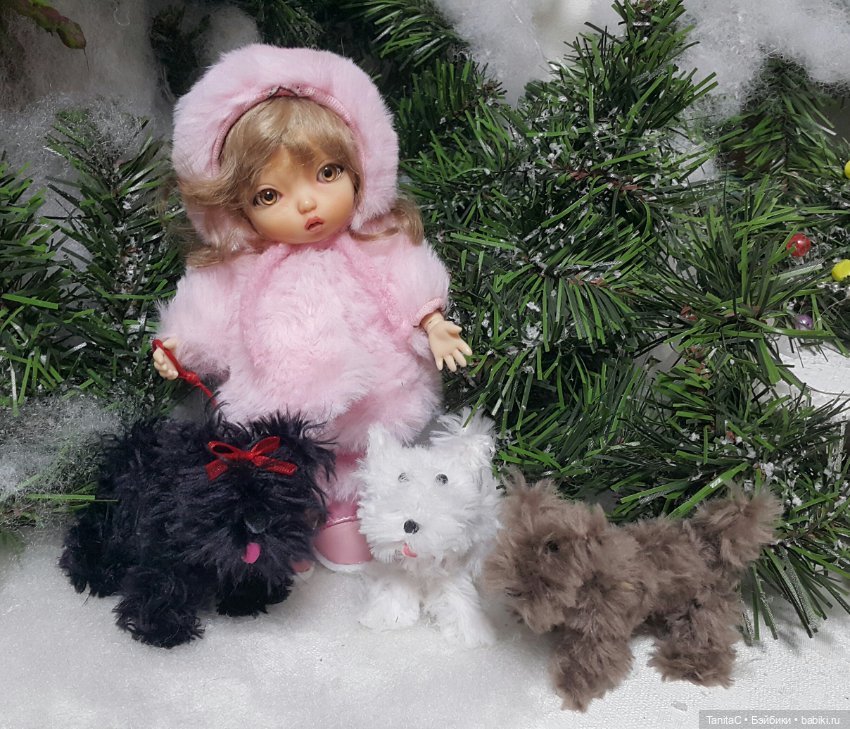 Собачек много не бывает. Клякса, Снежок и Дружок (фото 8)