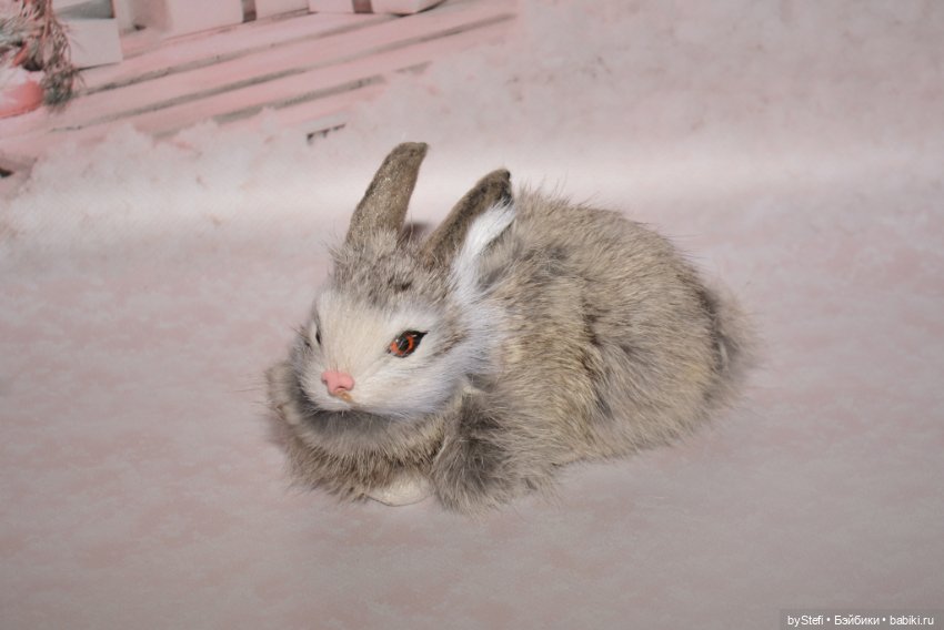 Небольшая коллекция пушистиков (фото 2)