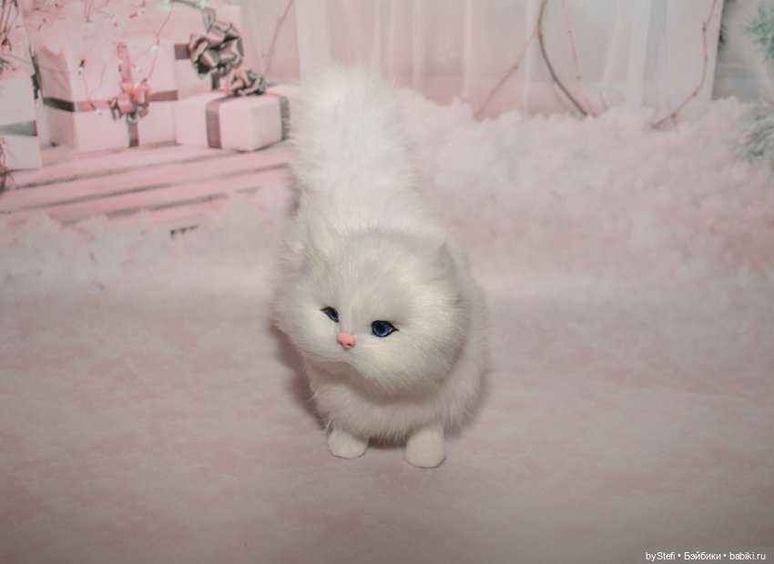 Небольшая коллекция пушистиков (фото 6)