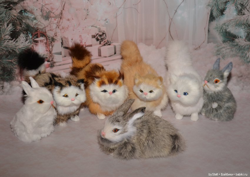 Небольшая коллекция пушистиков