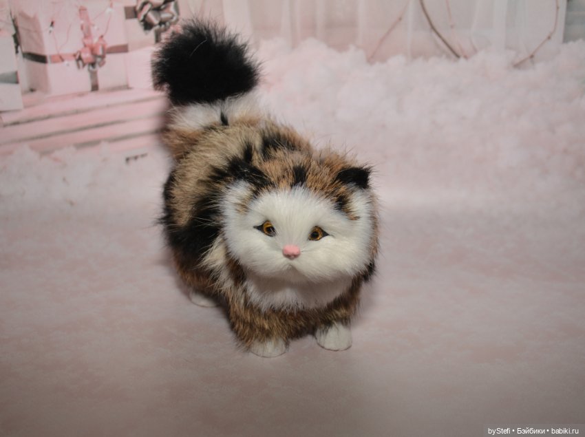 Небольшая коллекция пушистиков (фото 5)