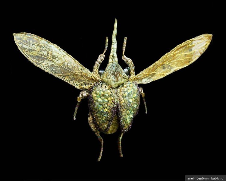 Невероятная вышивка от Michele Carragher (фото 9)