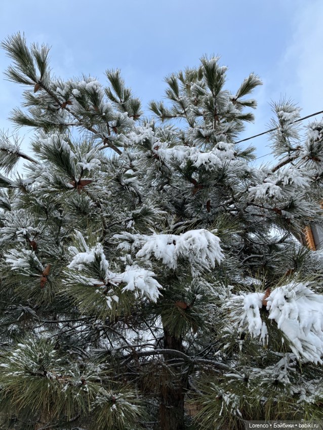 Куклы с Алиэкспресс (Aliexpress): Китайские шарнирные