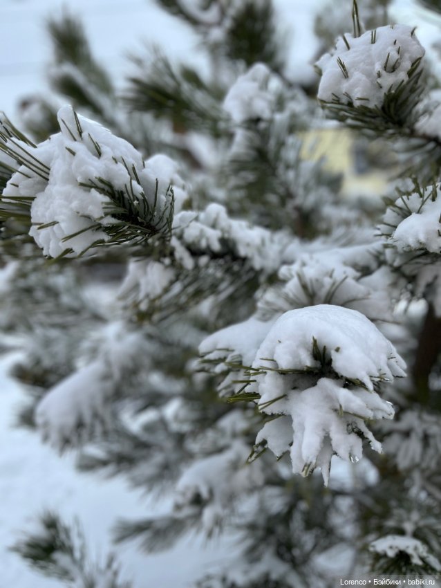 Куклы с Алиэкспресс (Aliexpress): Китайские шарнирные