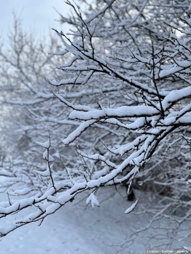 Куклы с Алиэкспресс (Aliexpress): Китайские шарнирные