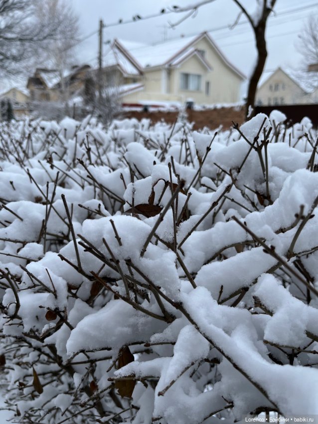 Куклы с Алиэкспресс (Aliexpress): Китайские шарнирные