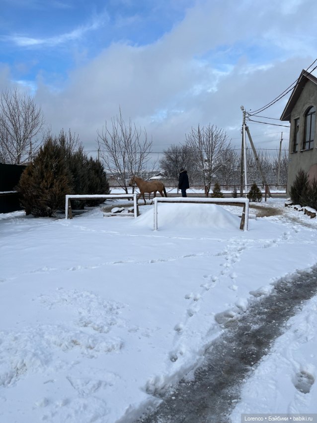 Куклы с Алиэкспресс (Aliexpress): Китайские шарнирные