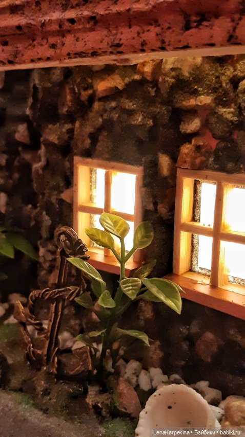 Другие хобби и увлечения: сад (фото 3)