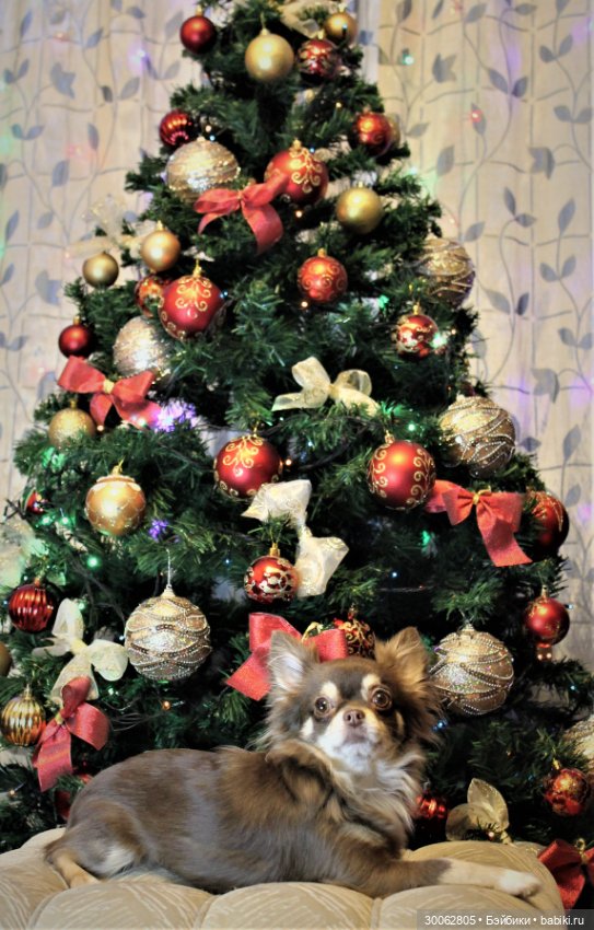 Куклы от Вирджинии Тернер