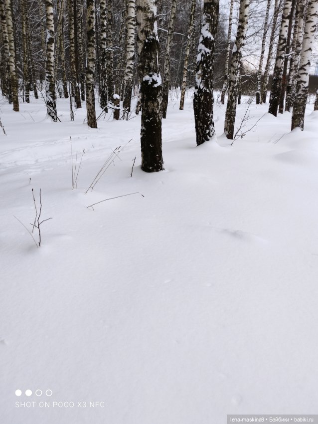 Вишенка, лес и ее любимый котик