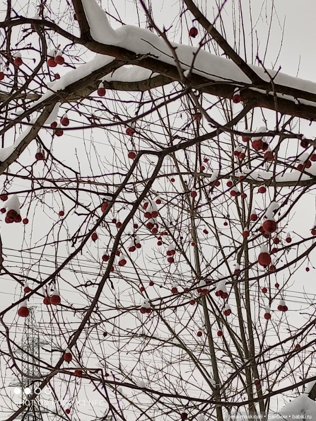 Вишенка, лес и ее любимый котик