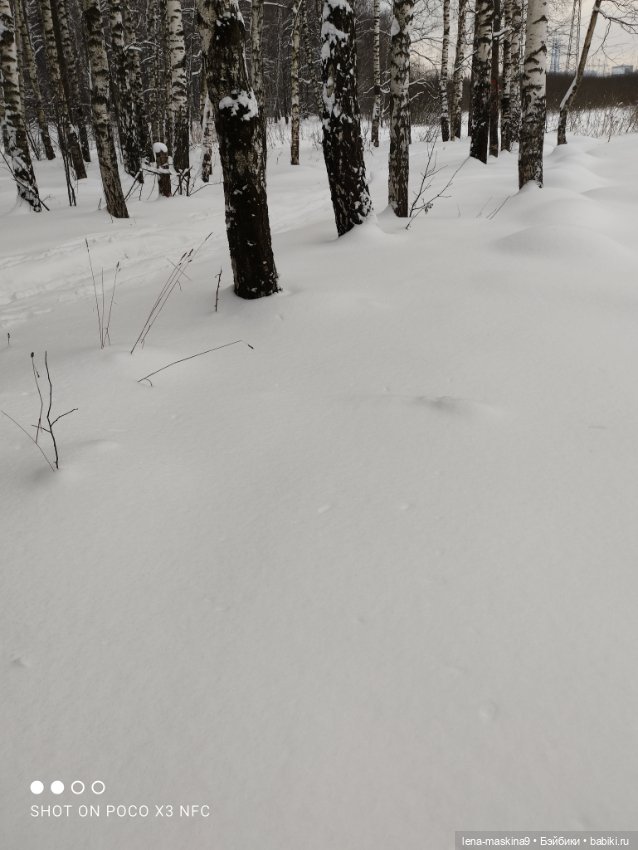 Вишенка, лес и ее любимый котик