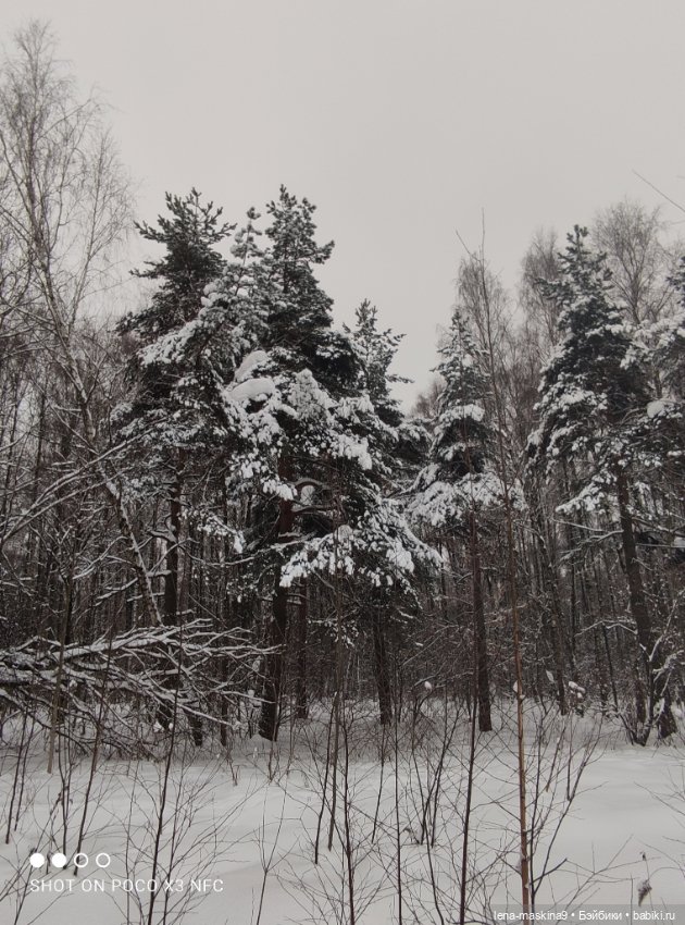 Вишенка, лес и ее любимый котик (фото 8)